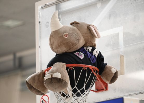 rhine river rhinos maskottchen korb