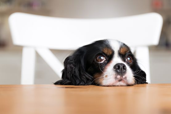 iStock-501084938.jpg