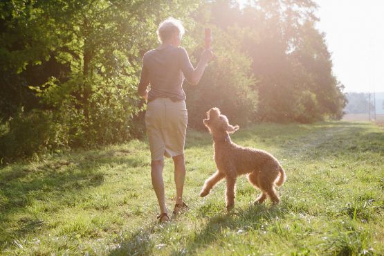 hunde-liebe-action.jpg