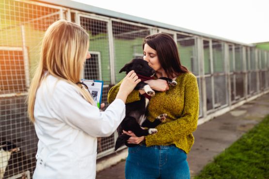 hundewelpen-zuechter-frauen.jpg