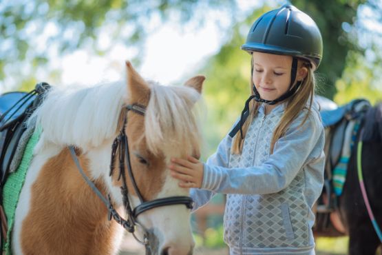 reiturlaub-ponyhof.jpg