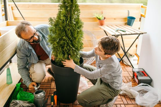 wohnflaeche-balkon-vater-sohn-pflanzen.jpg