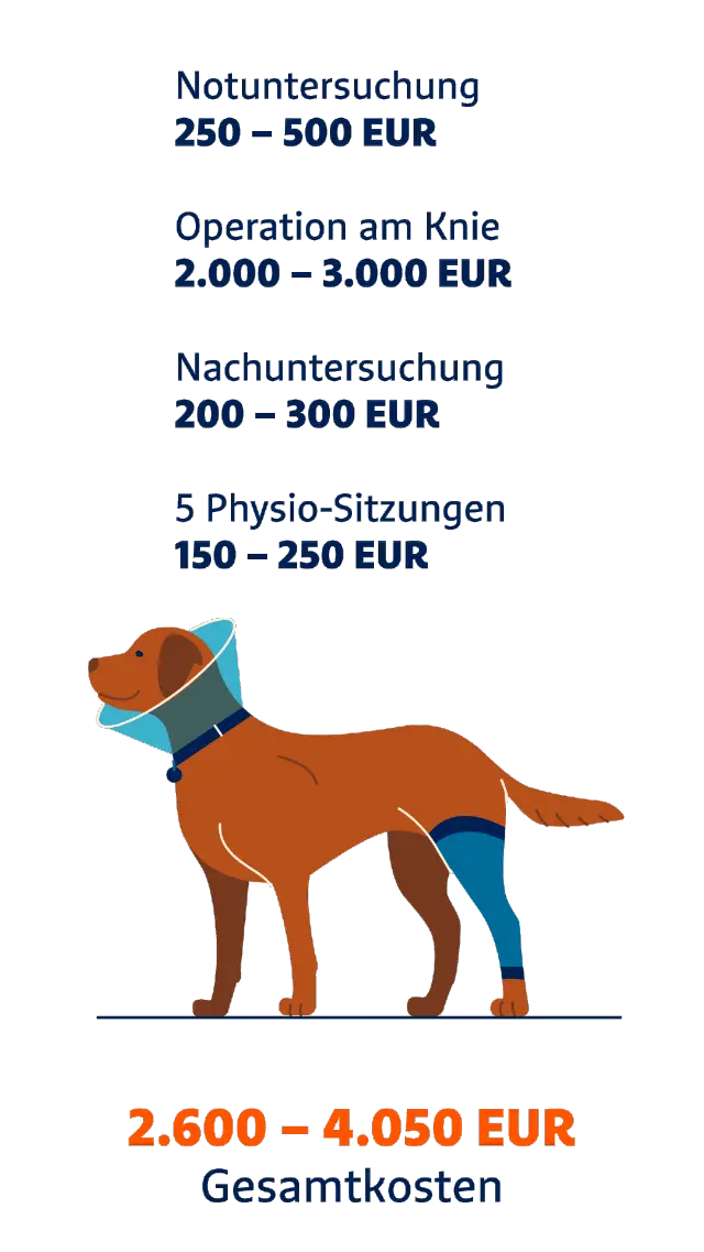 Infografik: Steigende Tierarztkosten am Beispiel Kreuzbandriss beim Hund.