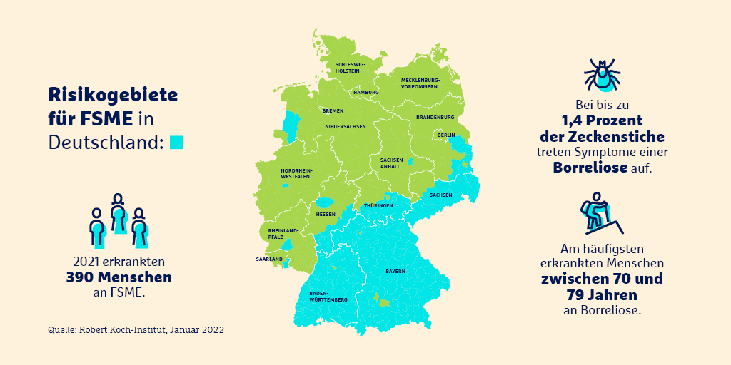 Borreliose und FSME Risikogebiete, Krankheitsverlauf, Behandlung