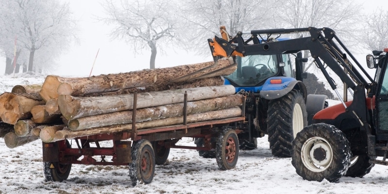 was_machen_landwirte_im_Winter