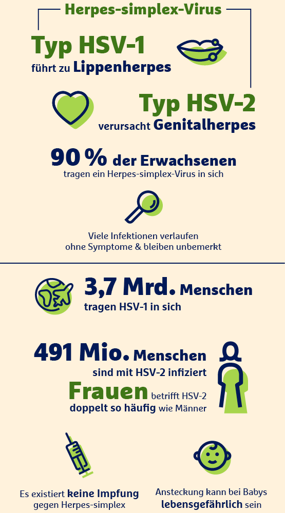 Infografik Herpes-simplex-Virus