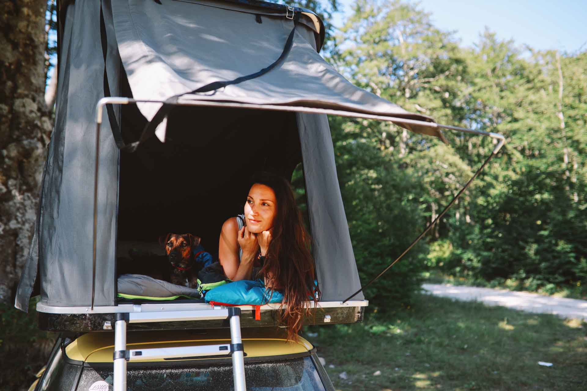 camping mit hund und kind Ultimate Bundle: Wohnmobil Camping Geheimtipps 2025 + sterreich + Kin   AlpacaCamping