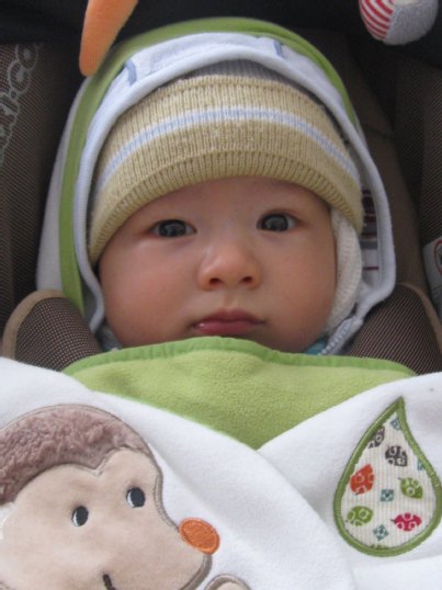 Gefahrlich Statt Heilsam Atherische Ole Fur Babys Tabu